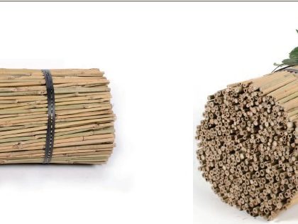 Bamboo Pole CAPPL - T1201012