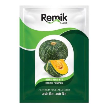 Remik Hero Bite Pumpkin Seeds