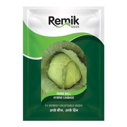 Remik Ball F1 Hybrid Cabbage Seeds
