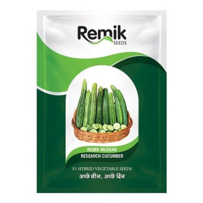 Remik Muskan Cucumber Seeds