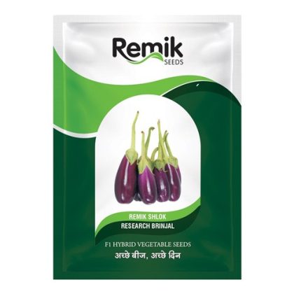 Remik Shlok Brinjal Seeds