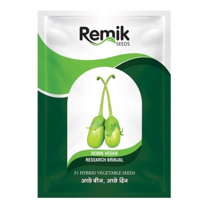 Remik Vegan Brinjal Seeds