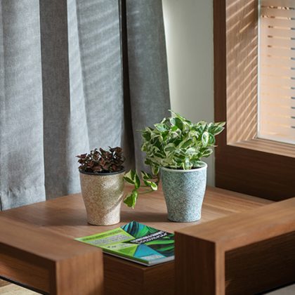 Cone painted  (Self Watering System )