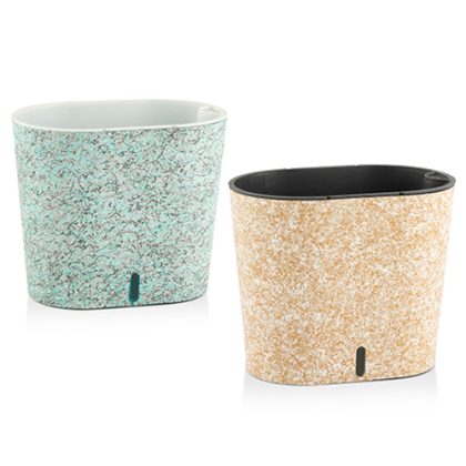 Cavender Painted   (Self Watering System )