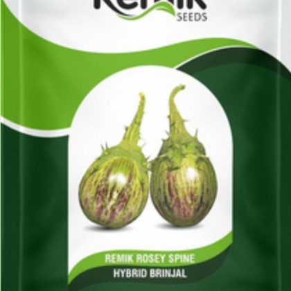 Remik Rosy Spine Brinjal Seeds