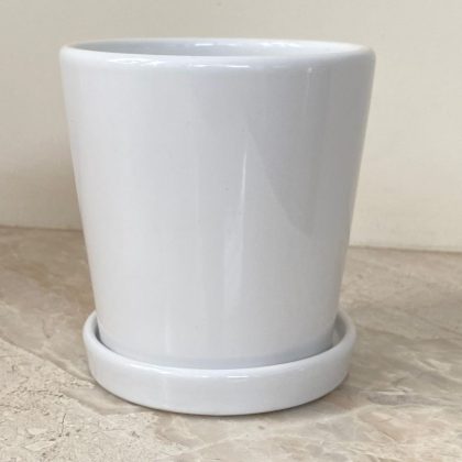 Ceramic Pot.85