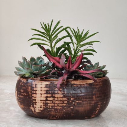 Decorative Plant In Ceramic Pot