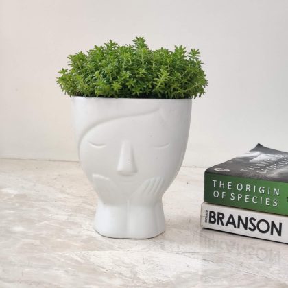 Decorative Plant In Ceramic Pot.009