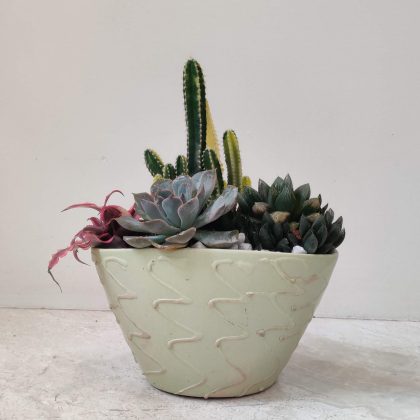 Decorative Plant In Ceramic Pot.15
