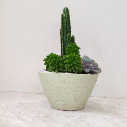 Decorative Plant In Ceramic Pot.18