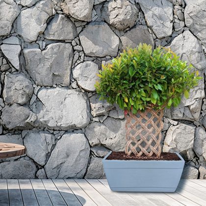 Roto Dove Canon  (Self Watering System)