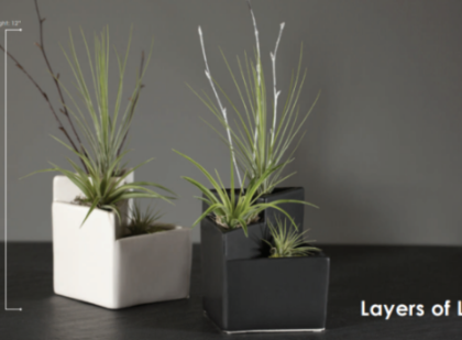 Layers of Life