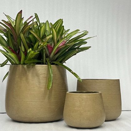 MGO Pots Matte Earth-Tone Colour CAPPL-