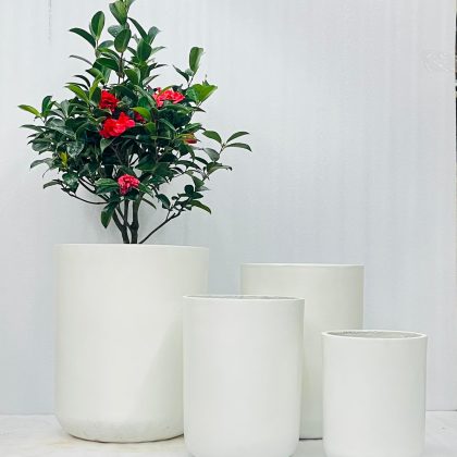 MGO Pots White Colour CAPPL-05