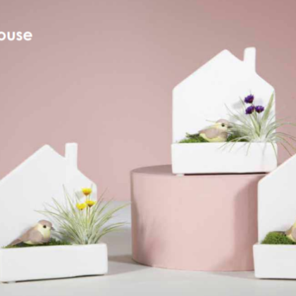 Modern House