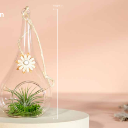 New Bloom