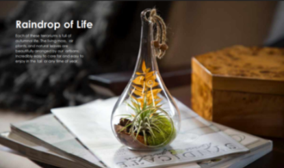 Raindrop of Life