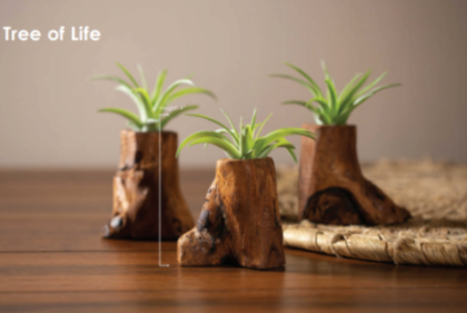 Tree of Life