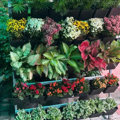 Vertical S/W Gardening System