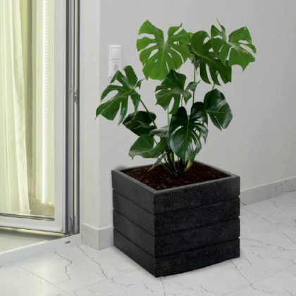 Roto Square Pot