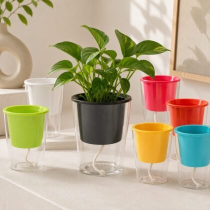 Clear Pot