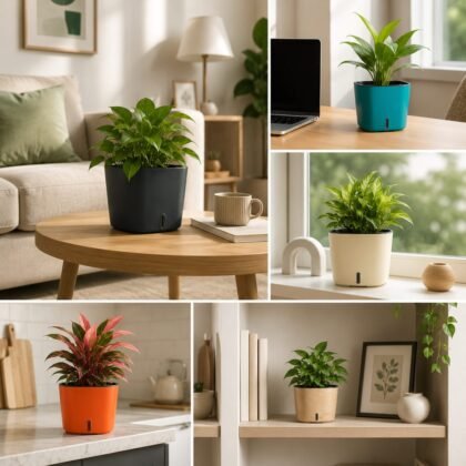 Cube - Self Watering System