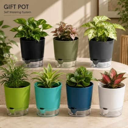 Gift Pot