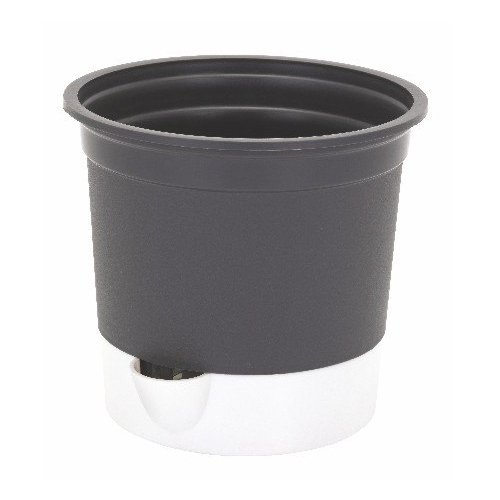 Gift Pot - Image 3