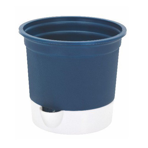 Gift Pot - Image 4