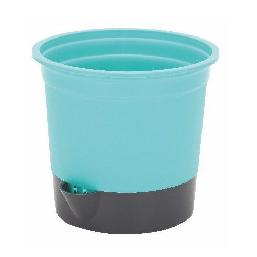 Gift Pot - Image 5