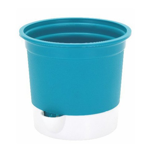 Gift Pot - Image 6