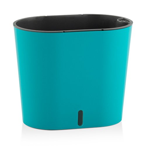 Cavender - Image 5