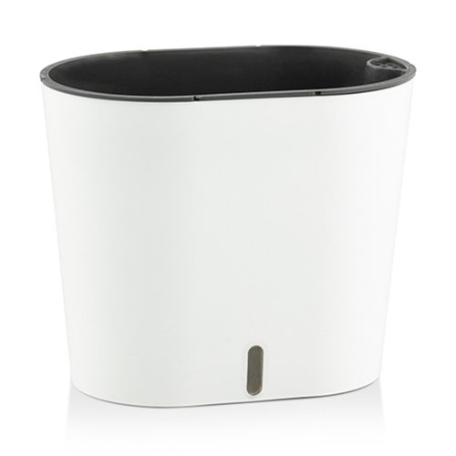 Cavender - Image 4