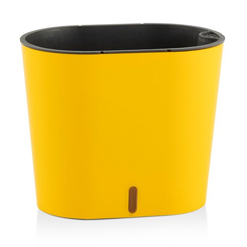 Cavender - Image 3