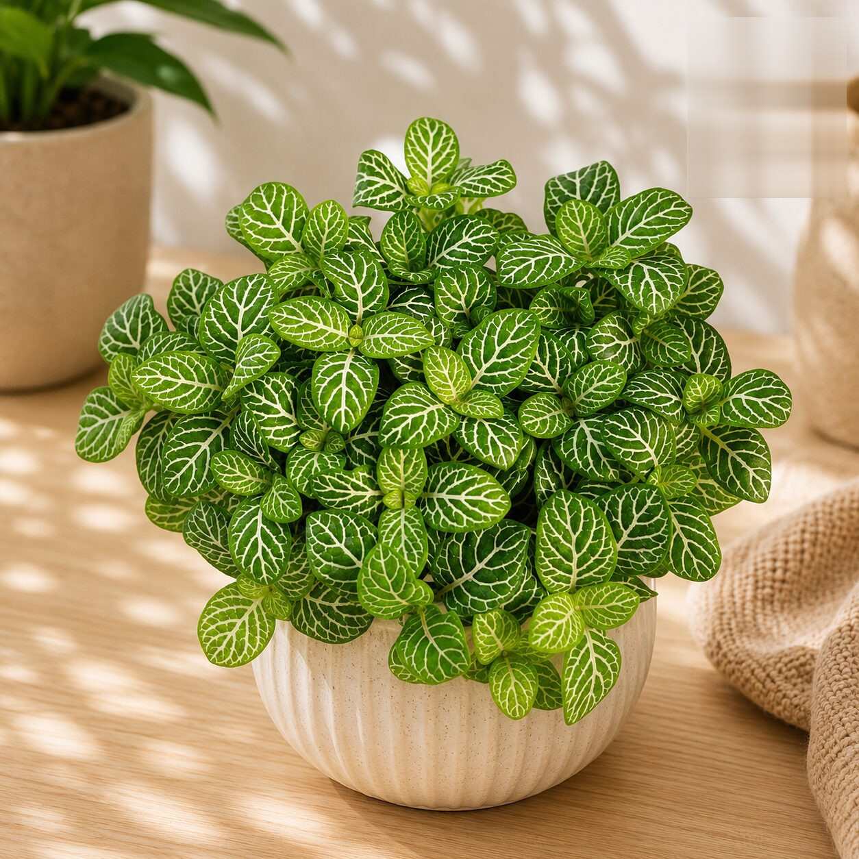 Albivenis Lemon H3 - Nook & Nature