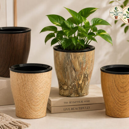 Cone Printed - Nook & Nature