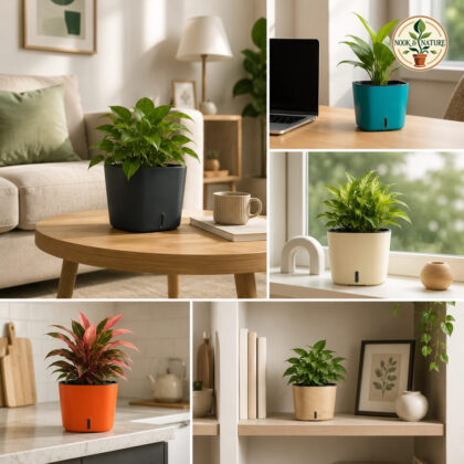 Cube – Self Watering System - Nook & Nature