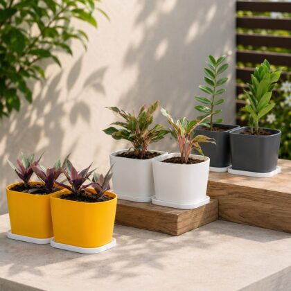 D Type Pot - Nook & Nature