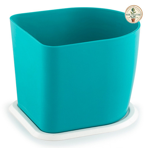 D Type Pot - Nook & Nature