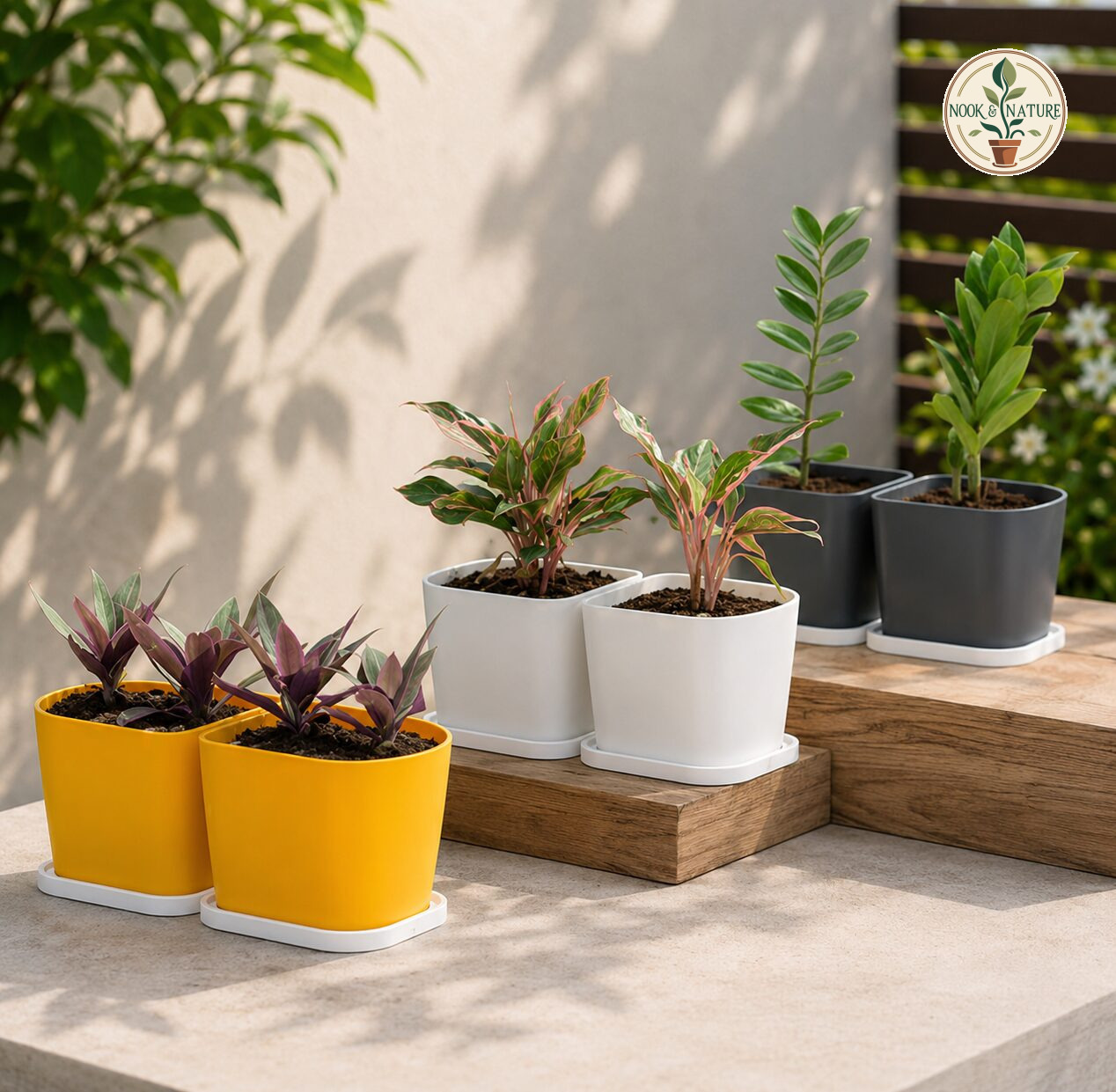 D Type Pot - Nook & Nature