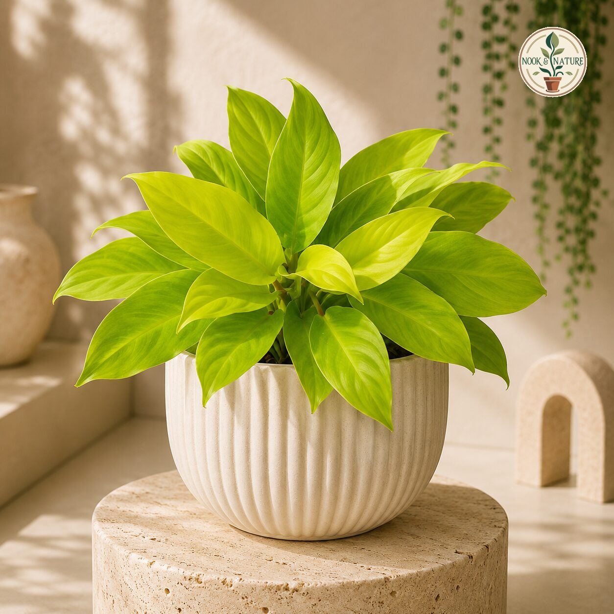 Hybrida Ceylon 9 - Nook & Nature