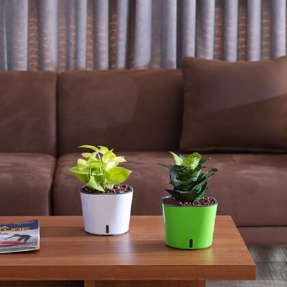 Cube self watering square planter lifestyle