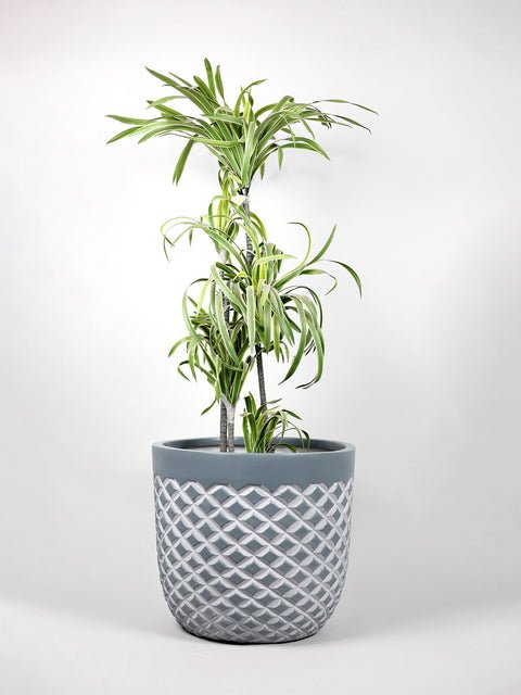 Vanila Fiberglass Round Planter - Image 2