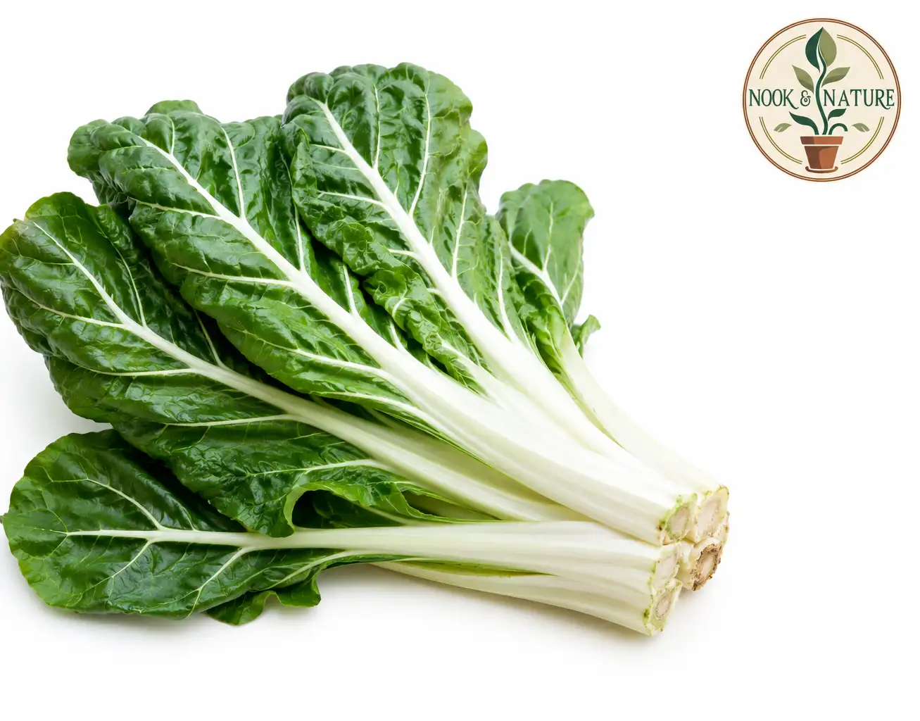 Swiss Chard