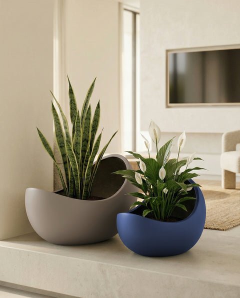 Eggo Fiberglass Planters