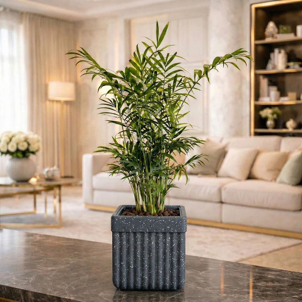 Roto Tiny 02 Self Watering Square Plant Pot 6" - Image 2