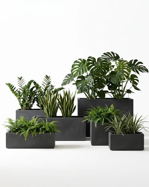 Rectangle Fiberglass Planter - Rustic - Image 4