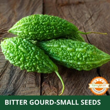 Bitter Gourd Small F1 Hybrid - Pack of 10 Seeds