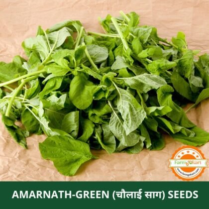 Amaranthus Green - Pack of 10 Gms Seeds