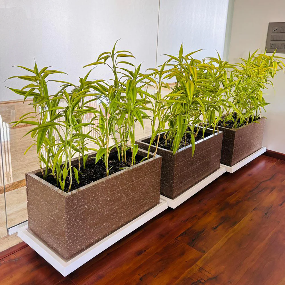 Roto G Tray Rectangle Pots - Image 2